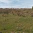  Land for sale in Cushamen, Chubut, Cushamen, Chubut