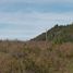  Land for sale in Cushamen, Chubut, Cushamen, Chubut