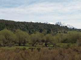  Land for sale in Cushamen, Chubut, Cushamen, Chubut