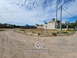  Land for sale in Confluencia, Neuquen, Confluencia