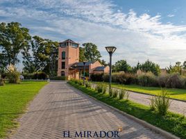  Land for sale in Brandsen, Buenos Aires, Brandsen