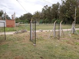  Terreno (Parcela) en venta en General Alvarado, Buenos Aires, General Alvarado