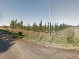  Land for sale in La Plata, Buenos Aires, La Plata