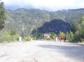  Land for sale in Cushamen Chubut, Cushamen