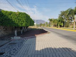  Terreno (Parcela) en venta en Tepoztlan, Morelos, Tepoztlan