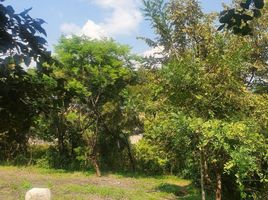  Grundstück zu verkaufen in Yautepec, Morelos, Yautepec