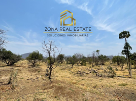  Terreno (Parcela) en venta en Tala, Jalisco, Tala