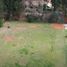Terrain à vendre à San Isidro, Buenos Aires, San Isidro, Buenos Aires, Argentine