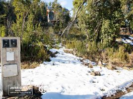  Terreno (Parcela) en venta en Neuquen, Los Lagos, Neuquen