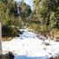  Land for sale in Los Lagos, Neuquen, Los Lagos, Neuquen