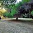  Terreno (Parcela) en venta en Zarate, Buenos Aires, Zarate