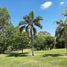  Land for sale in Gualeguaychu, Entre Rios, Gualeguaychu