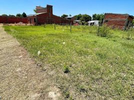  Land for sale in Mburucuya, Corrientes, Mburucuya