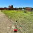 Land for sale in Mburucuya, Corrientes, Mburucuya