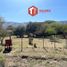  Land for sale in Junin, San Luis, Junin