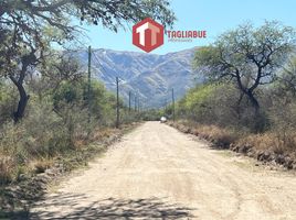  Land for sale in Junin, San Luis, Junin