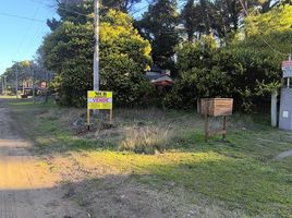  Grundstück zu verkaufen in La Costa, Buenos Aires, La Costa