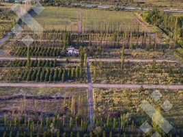  Terreno (Parcela) en venta en Rio Negro, General Roca, Rio Negro