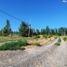  Land for sale in Neuquen, Confluencia, Neuquen