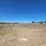  Land for sale in Neuquen, Confluencia, Neuquen