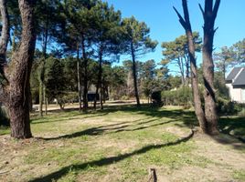  Terrain for sale in Pinamar, Buenos Aires, Pinamar