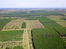  Terreno (Parcela) en venta en Concordia, Entre Rios, Concordia