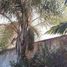 4 Habitación Villa en venta en Lanús, Buenos Aires, Lanús