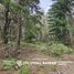  Land for sale in Neuquen, Los Lagos, Neuquen