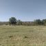  Land for sale in Neuquen, Confluencia, Neuquen