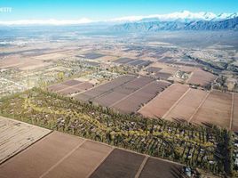  Terreno (Parcela) en venta en Lujan De Cuyo, Mendoza, Lujan De Cuyo