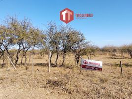  Terreno (Parcela) en venta en Junin, San Luis, Junin