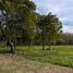  Land for sale in La Plata, Buenos Aires, La Plata