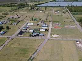  Terreno (Parcela) en venta en Rio Negro, General Roca, Rio Negro