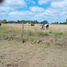  Land for sale in San Vicente, Buenos Aires, San Vicente