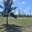  Land for sale in San Vicente, Buenos Aires, San Vicente