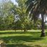  Land for sale in San Vicente, Buenos Aires, San Vicente