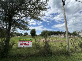  Land for sale in Colon, Entre Rios, Colon