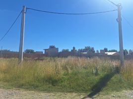  Terreno (Parcela) en venta en Neuquen, Confluencia, Neuquen