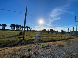  Land for sale in La Plata, Buenos Aires, La Plata