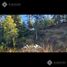  Land for sale in Bariloche, Rio Negro, Bariloche