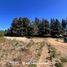  Land for sale in Rio Negro, Bariloche, Rio Negro