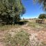  Land for sale in Albardon, San Juan, Albardon