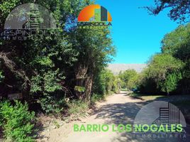  Land for sale in Junin, San Luis, Junin