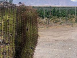  Terrain for sale in Cafayate, Salta, Cafayate