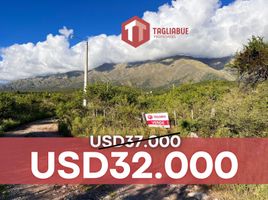  Terreno (Parcela) en venta en Junin, San Luis, Junin