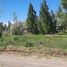  Land for sale in Neuquen, Confluencia, Neuquen