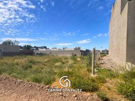  Terreno (Parcela) en venta en Neuquen, Confluencia, Neuquen