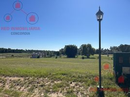  Land for sale in Concordia, Entre Rios, Concordia