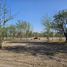  Land for sale in Salta, Capital, Salta