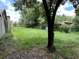  Land for sale in Colon, Cordoba, Colon